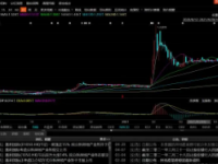 连续多日单日涨幅超越100%以不足两亿港元利润撑起2.4万亿港元市值