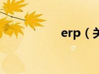 erp（关于erp的介绍）