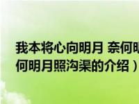 我本将心向明月 奈何明月照沟渠（关于我本将心向明月 奈何明月照沟渠的介绍）