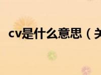 cv是什么意思（关于cv是什么意思的介绍）