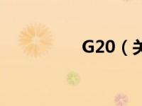 G20（关于G20的介绍）