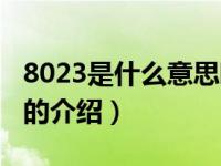 8023是什么意思啊（关于8023是什么意思啊的介绍）