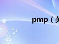 pmp（关于pmp的介绍）