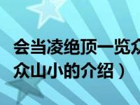 会当凌绝顶一览众山小（关于会当凌绝顶一览众山小的介绍）