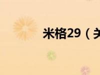 米格29（关于米格29的介绍）