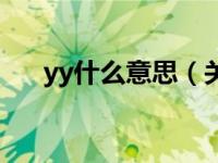 yy什么意思（关于yy什么意思的介绍）