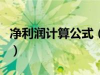 净利润计算公式（关于净利润计算公式的介绍）