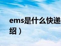 ems是什么快递（关于ems是什么快递的介绍）