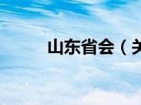 山东省会（关于山东省会的介绍）