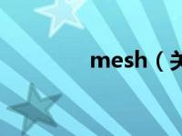 mesh（关于mesh的介绍）