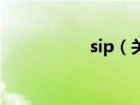 sip（关于sip的介绍）