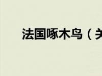 法国啄木鸟（关于法国啄木鸟的介绍）