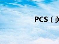 PCS（关于PCS的介绍）