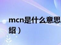 mcn是什么意思（关于mcn是什么意思的介绍）