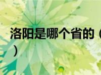 洛阳是哪个省的（关于洛阳是哪个省的的介绍）