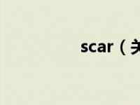 scar（关于scar的介绍）