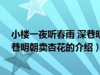 小楼一夜听春雨 深巷明朝卖杏花（关于小楼一夜听春雨 深巷明朝卖杏花的介绍）