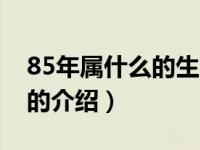 85年属什么的生肖（关于85年属什么的生肖的介绍）