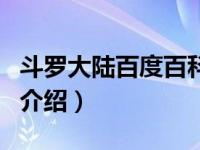 斗罗大陆百度百科（关于斗罗大陆百度百科的介绍）