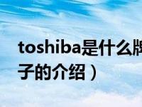 toshiba是什么牌子（关于toshiba是什么牌子的介绍）