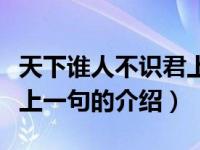 天下谁人不识君上一句（关于天下谁人不识君上一句的介绍）