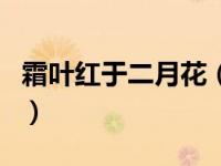 霜叶红于二月花（关于霜叶红于二月花的介绍）