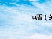 u盾（关于u盾的介绍）