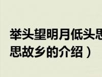 举头望明月低头思故乡（关于举头望明月低头思故乡的介绍）