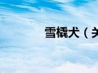 雪橇犬（关于雪橇犬的介绍）