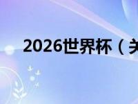 2026世界杯（关于2026世界杯的介绍）