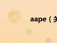 aape（关于aape的介绍）