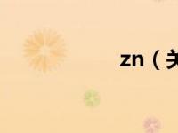 zn（关于zn的介绍）