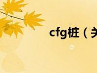 cfg桩（关于cfg桩的介绍）