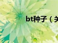 bt种子（关于bt种子的介绍）