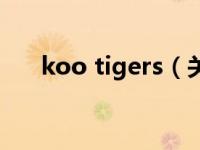 koo tigers（关于koo tigers的介绍）