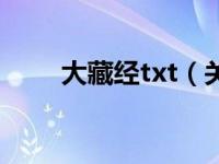 大藏经txt（关于大藏经txt的介绍）