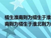 橘生淮南则为橘生于淮北则为枳出自哪篇文章（关于橘生淮南则为橘生于淮北则为枳出自哪篇文章的介绍）