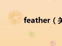 feather（关于feather的介绍）