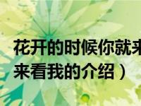 花开的时候你就来看我（关于花开的时候你就来看我的介绍）