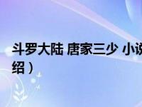 斗罗大陆 唐家三少 小说（关于斗罗大陆 唐家三少 小说的介绍）