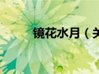 镜花水月（关于镜花水月的介绍）