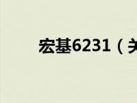 宏基6231（关于宏基6231的介绍）