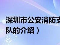 深圳市公安消防支队（关于深圳市公安消防支队的介绍）