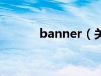 banner（关于banner的介绍）