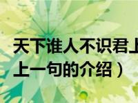 天下谁人不识君上一句（关于天下谁人不识君上一句的介绍）