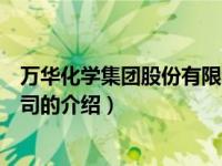 万华化学集团股份有限公司（关于万华化学集团股份有限公司的介绍）