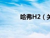 哈弗H2（关于哈弗H2的介绍）