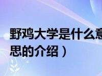 野鸡大学是什么意思（关于野鸡大学是什么意思的介绍）