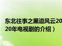 东北往事之黑道风云20年电视剧（关于东北往事之黑道风云20年电视剧的介绍）