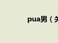 pua男（关于pua男的介绍）